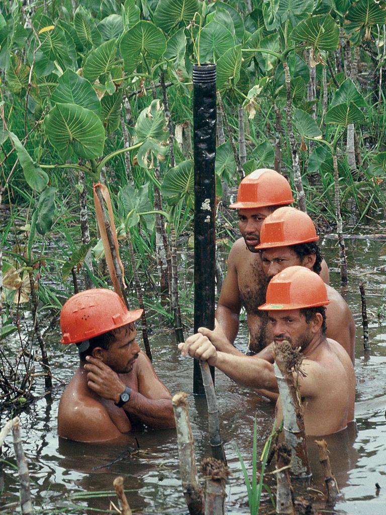 Cuadrilla trabajando sumergida en zona pantanosa