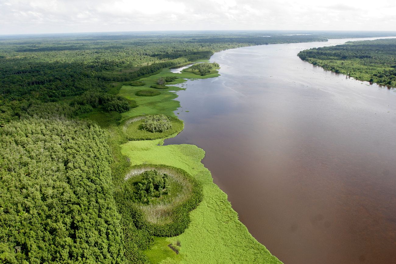 Vista aérea del Delta del Orinoco, caño principal y selva ribereña