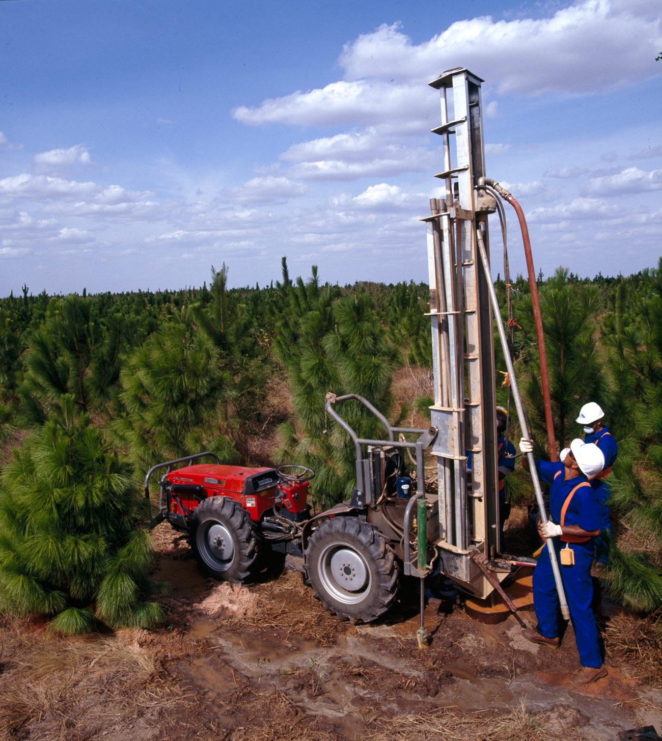 Tractor con torre de perforación en plantación de pinos