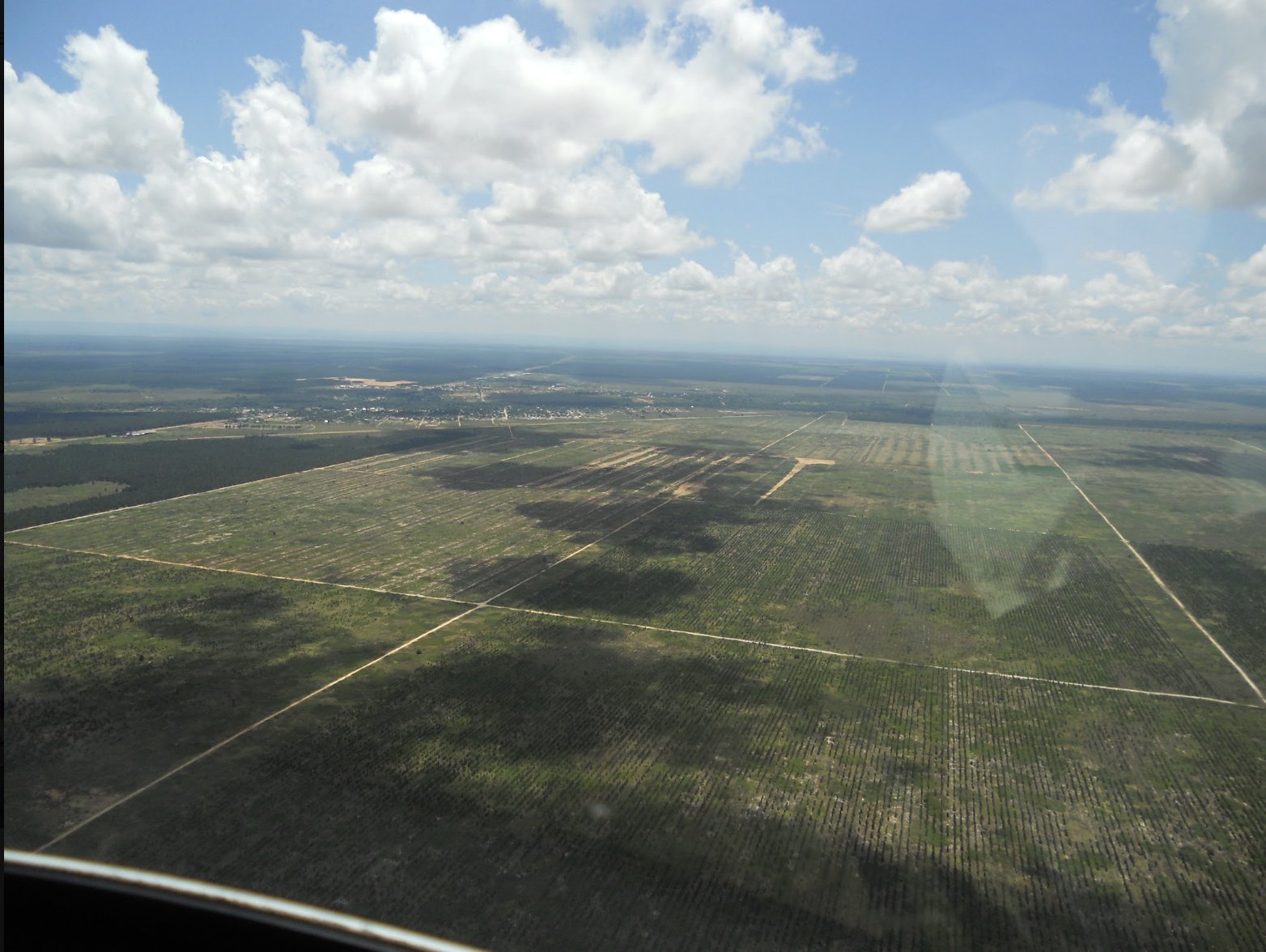 Vista aérea de la Faja Petrolífera del Orinoco, bloque Carabobo